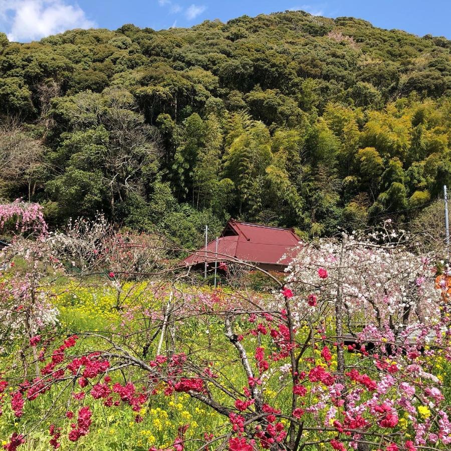 Toraya Attic Villa Shimoda  Exterior photo